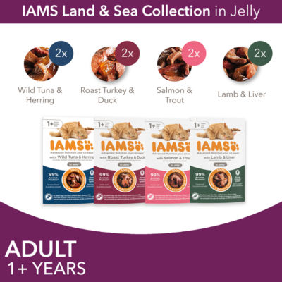 Iams cat food meat and fish mix 8x85g, UK version