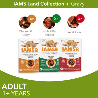 Iams adult wet cat food meat variety mix 8 x 85g, UK version