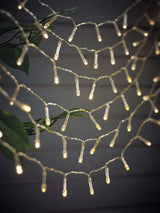 Next Clear Warm White Solar Outdoor Line Lights 12M 100 LEDs- Buy online at McGrocer