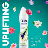 Sure Nonstop Protection Antiperspirant Freesia Water Lily 250ml (British brand)