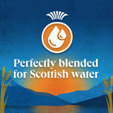 Scottish Blend black tea bags 80 count (British brand)