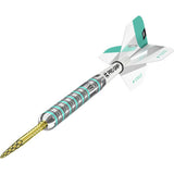Argos Target Darts Rob Cross Generation 2 25g 90% Tungsten Darts- Buy online at McGrocer
