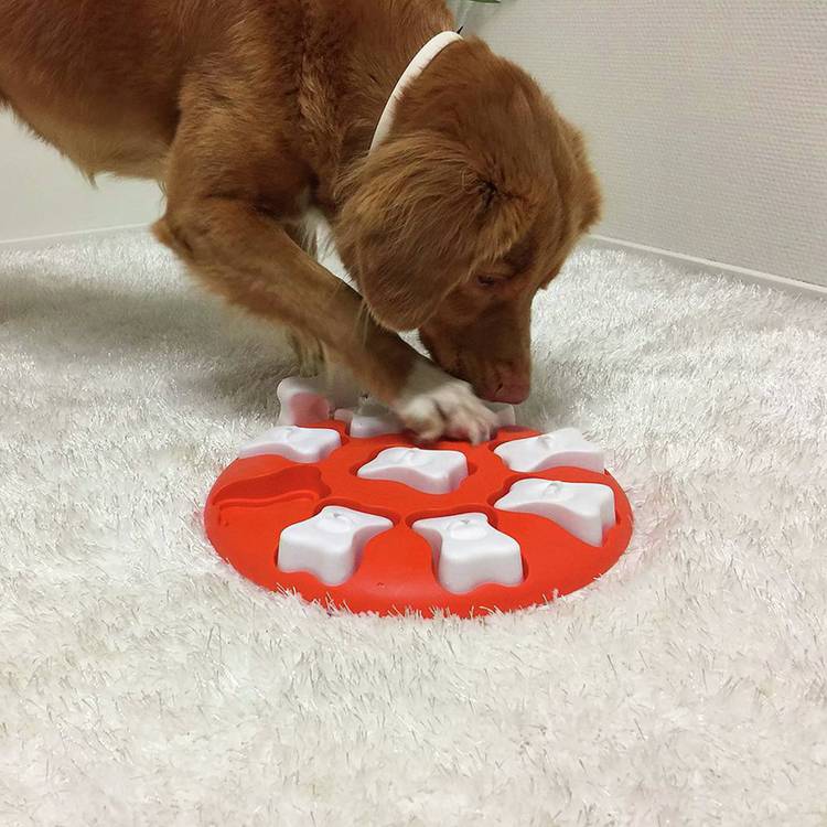 Nina Ottoson Dog Smart dog puzzle toy with 9 treat compartments - British product
