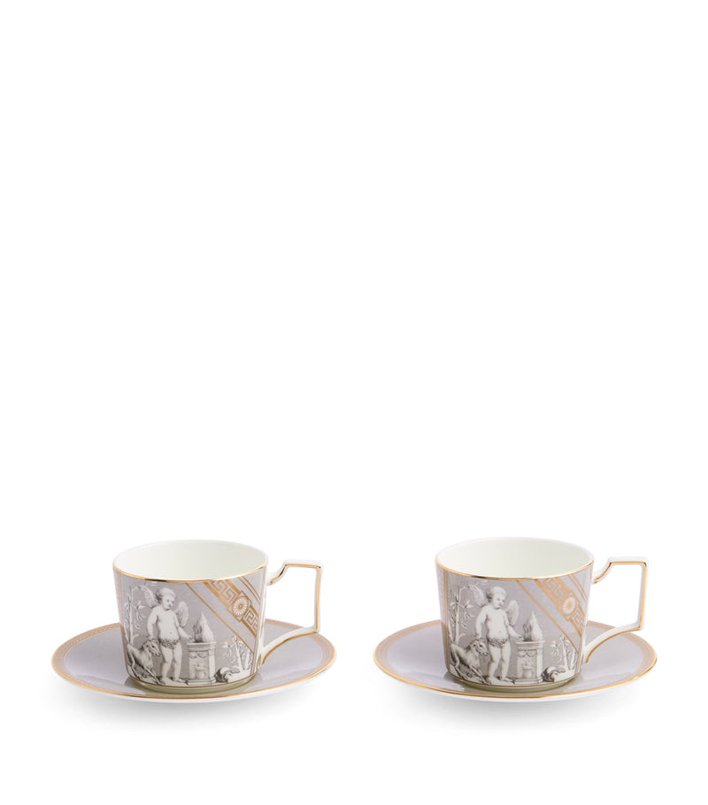 Wedgwood Renaissance teacup and saucer set (British brand)