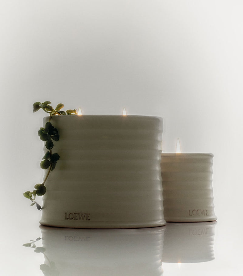 LOEWE medium oregano scented candle 610g, UK version