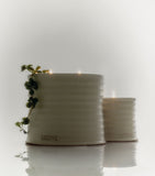 LOEWE medium oregano scented candle 610g, UK version