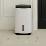 Meaco Dry Arete One 25L dehumidifier (British brand)