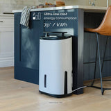 Meaco Dry Arete One 25L dehumidifier (British brand)