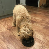 Rosewood slow dog feeder large, imported from the UK