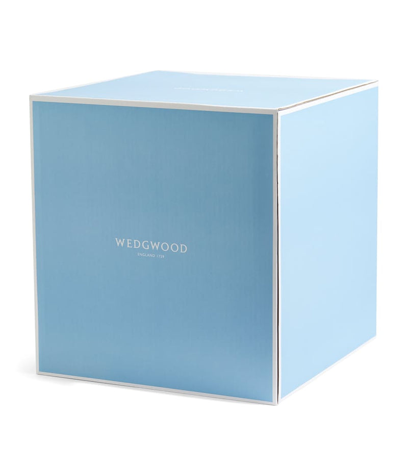 Wedgwood Intaglio dinnerware set 21-piece - British product
