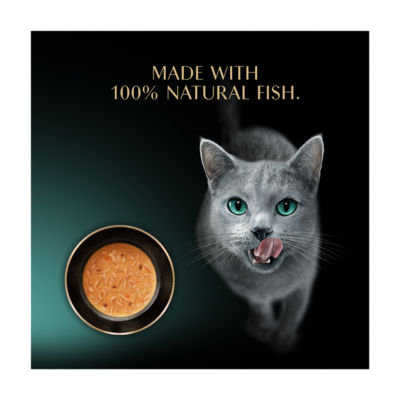 Sheba wet cat food pouch with tuna 4 x 40g (British brand)