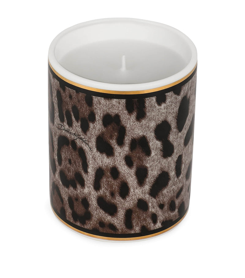 Dolce&Gabbana Casa Leopardo patchouli candle 340g - British product