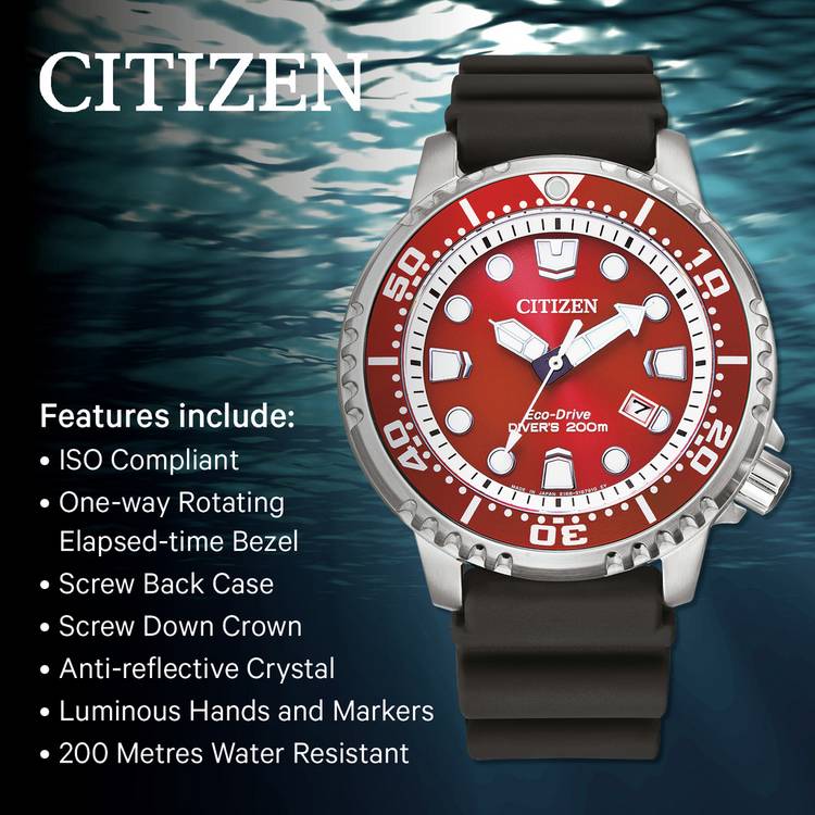 Citizen Eco-Drive dive watch with red dial and rubber strap (British brand)