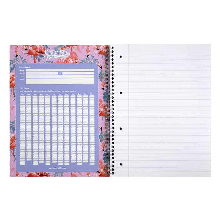 Pukka Pads A4 Jotta pastel notebook 3 pack, UK version