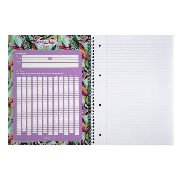 Pukka Pads A4 Jotta pastel notebook 3 pack, UK version