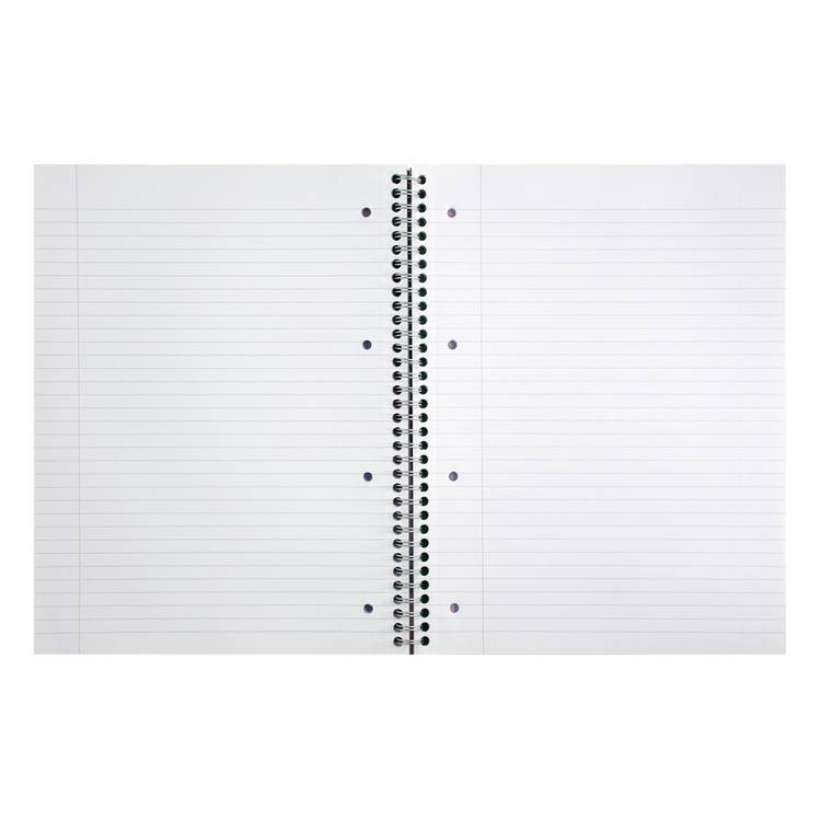 Pukka Pads A4 Jotta pastel notebook 3 pack, UK version