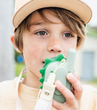 The Zoofamily Dino Walkie Talkies (British brand)