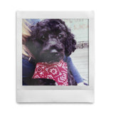 Instax Square instant film 20 pack (British brand)