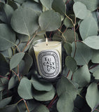 Diptyque eucalyptus candle 190g, imported from the UK