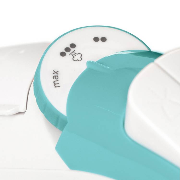 Russell Hobbs Light & Easy steam iron (British brand)