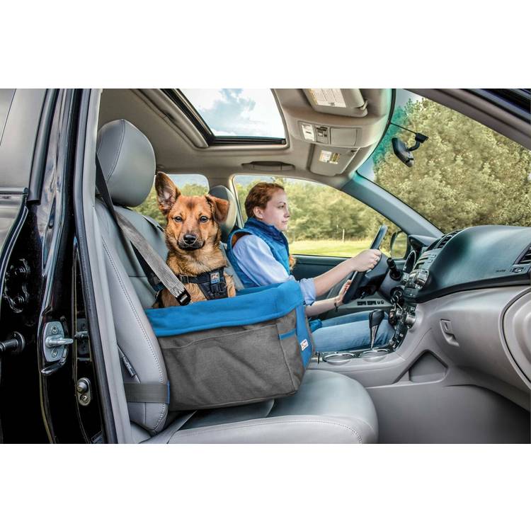 Kurgo dog car booster seat for small to medium dogs - British product