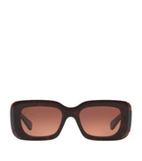 Harrods Chloé Acetate 06N000505 Sunglasses- Buy online at McGrocer