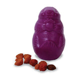 Argos Best Buddy Squirrel Dude Dog Toy - Medium- Buy online at McGrocer
