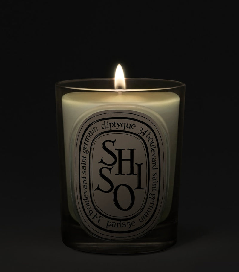 Diptyque Shiso scented candle 190g (British brand)