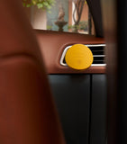 Acqua di Parma leather car diffuser - British product