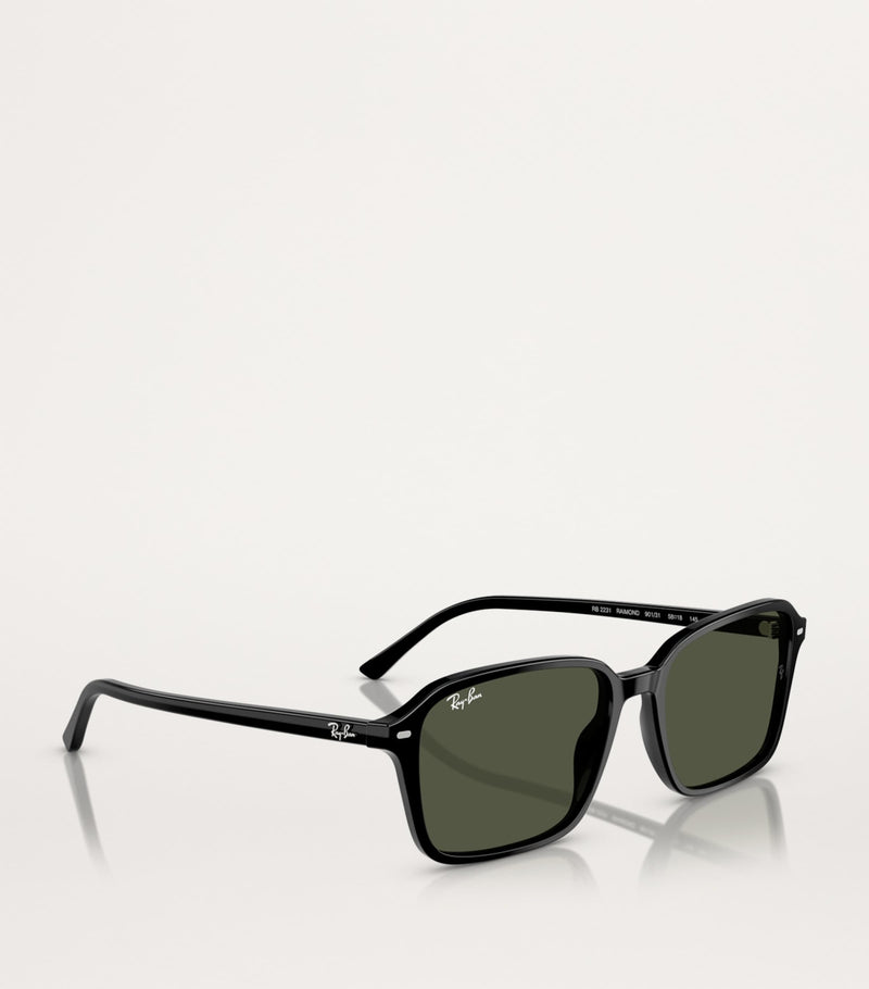 Ray-Ban RB2231 Raimond sunglasses acetate frame (British brand)