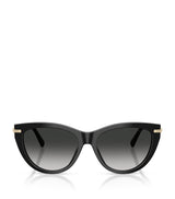 Harrods Tiffany & Co. Acetate Cat Eye TF4253 Sunglasses- Buy online at McGrocer