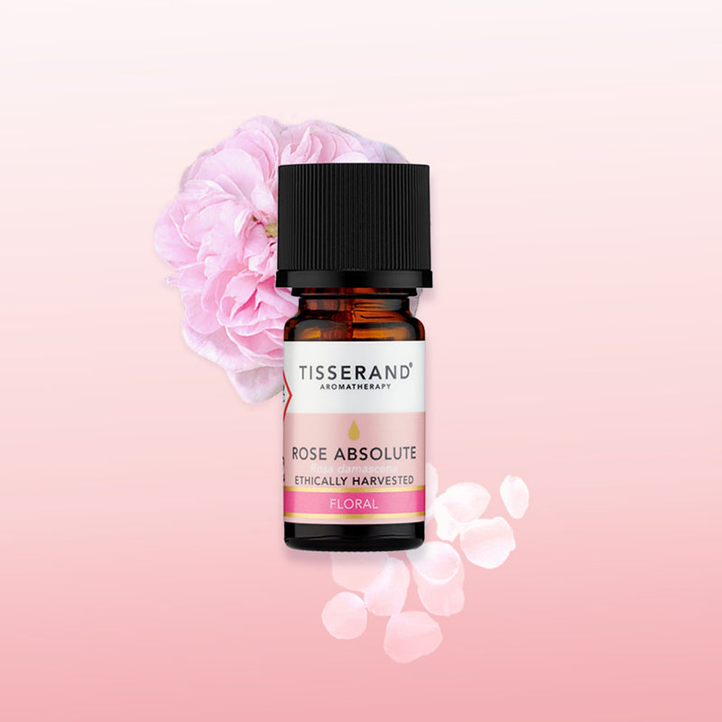 Tisserand Rose Absolute essential oil 2ml (British brand)