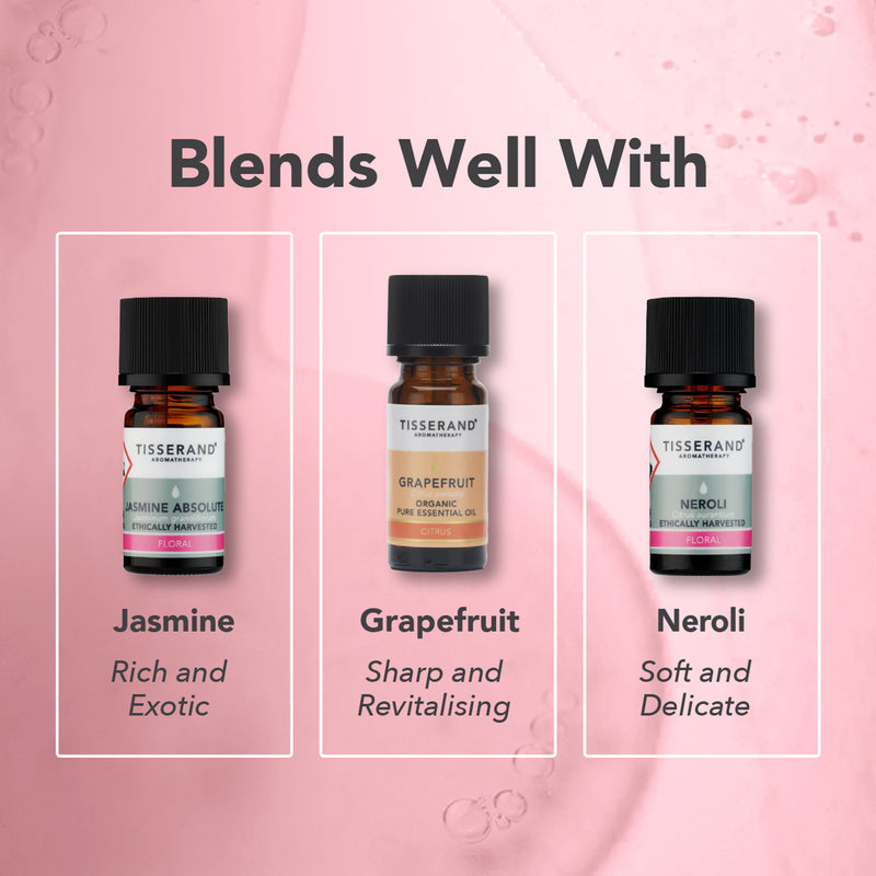 Tisserand Rose Absolute essential oil 2ml (British brand)