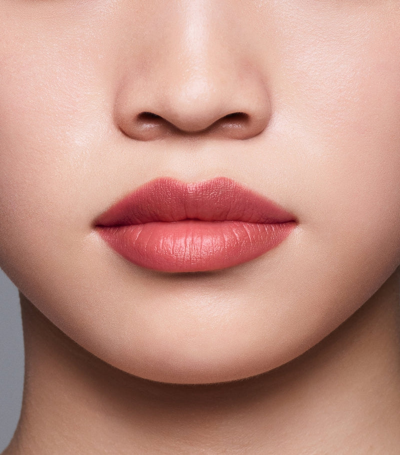 Shiseido lip liner InkDuo dual-ended primer and liner (British brand)
