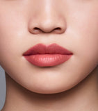 Shiseido lip liner InkDuo dual-ended primer and liner (British brand)