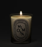 Diptyque mimosa scented candle 190g, UK version