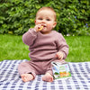 Heinz Apple Biscotti fruit baby snack biscuits for babies, UK version