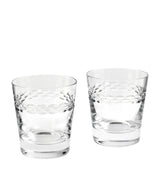 Harrods Wedgwood Neo Crystal Tumblers Set of 2 Tumbler Glasses 310ml- Buy online at McGrocer