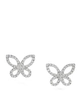 Harrods Graff Mini White Gold and Diamond Butterfly Stud Earrings- Buy online at McGrocer