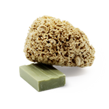 Holland & Barrett SpongeBox Honeycomb Luxe Natural Body & Bath Sea Sponge 5-5.5 Inches- Buy online at McGrocer