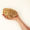SpongeBox Honeycomb Luxe natural sea sponge 5-5.5 inches (British brand)