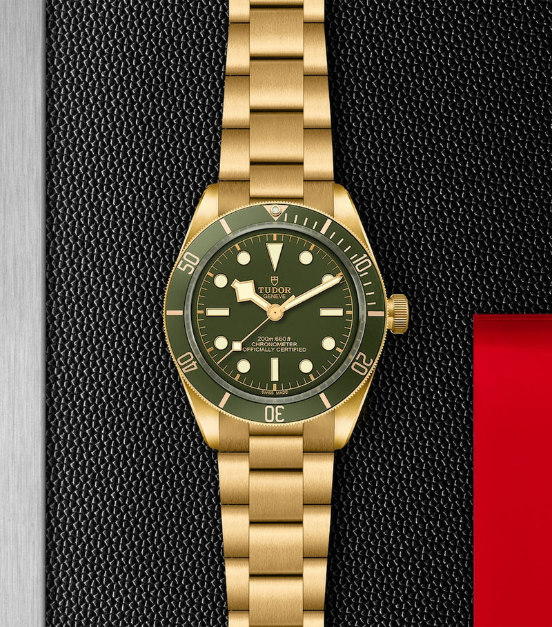 TUDOR Black Bay Yellow Gold 39mm watch, UK version