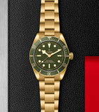 TUDOR Black Bay Yellow Gold 39mm watch, UK version