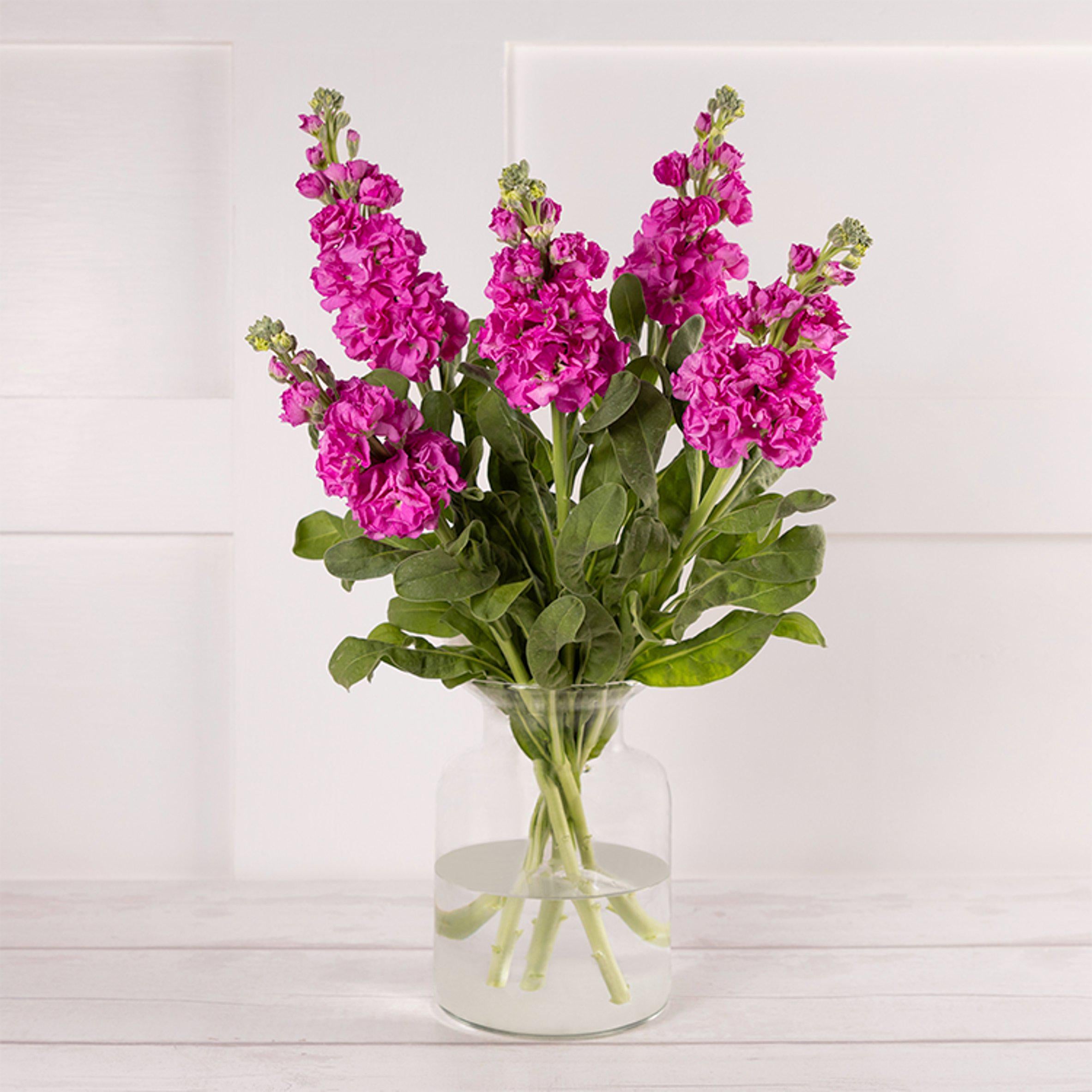 Stocks GOODS Sainsburys