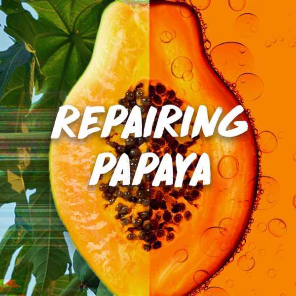 Garnier Ultimate Blends Papaya Hair Food Mask 390ml, UK version