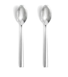 Wedgwood stainless steel teaspoons set of 2 (British brand)