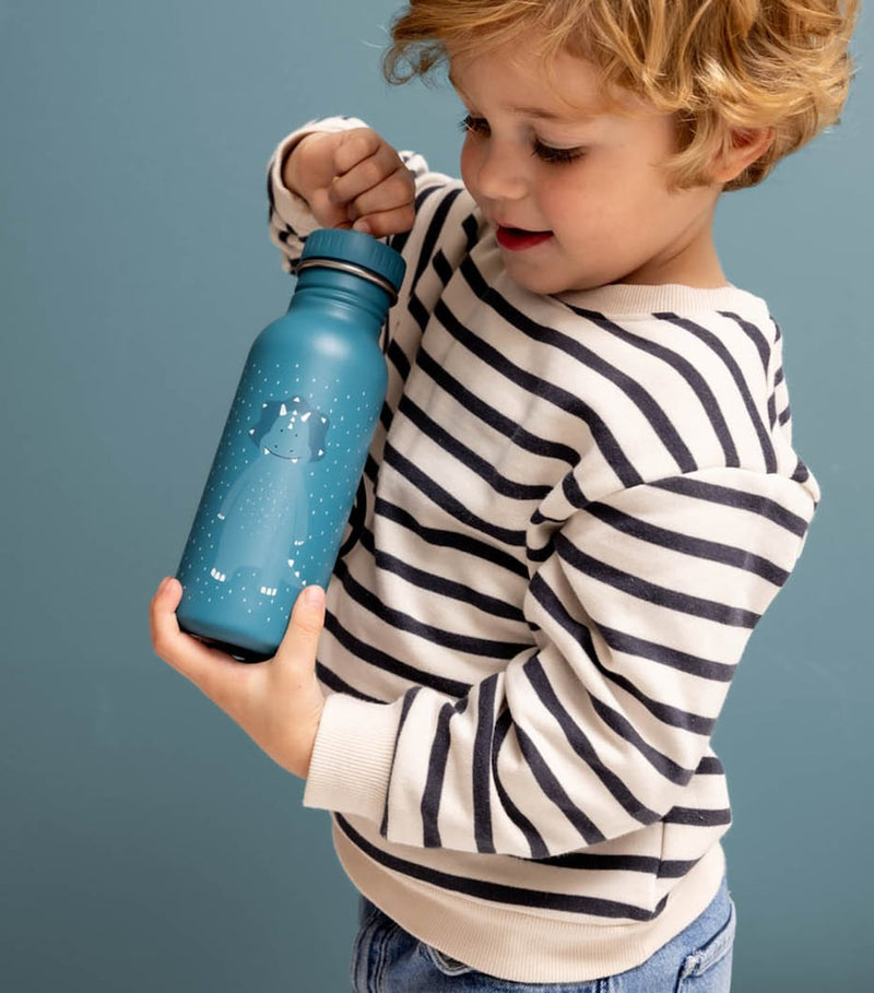 Trixie Mr Triceratops water bottle 500ml - British product
