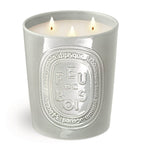Diptyque Feu de Bois candle 600g - British product