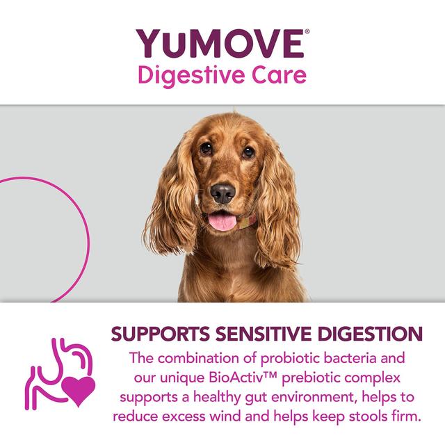 YuMOVE Dog Digestive Health Probiotics Supplement   120 per pack GOODS M&S