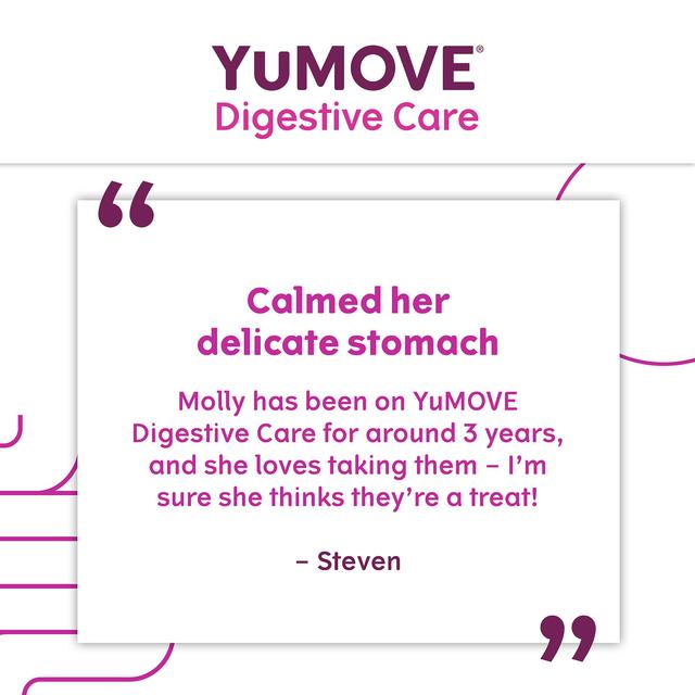 YuMOVE Dog Digestive Health Probiotics Supplement   120 per pack GOODS M&S